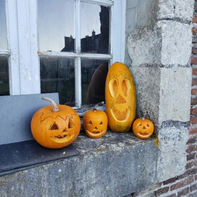 Halloween-au-Chateau-de-La-Bussiere-ateliers-creussage-de-citrouilles-8211-20-10-2025-8211-La-Bussiere_3133719