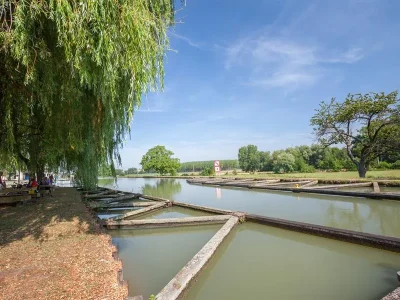 Halte-fluviale-8211-Waltenheim-sur-Zorn_2108554