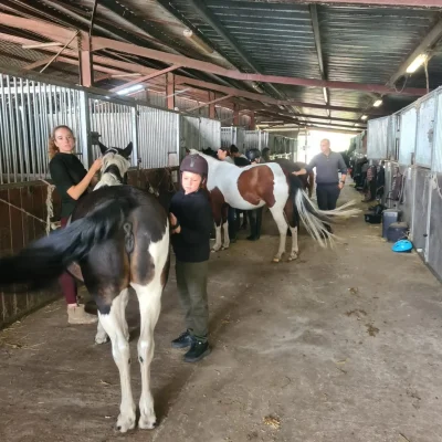 Haras-de-Croix-d039Hins-8211-Marcheprime_3521584