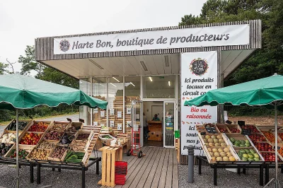 Harte-Bon-8211-Saubrigues_2092674