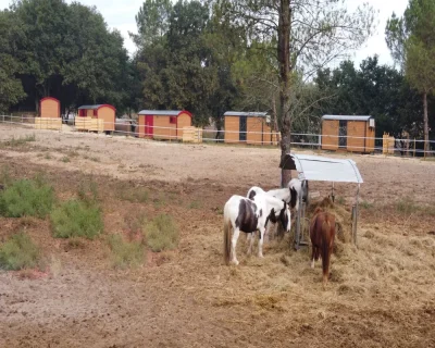 Hebergement-insolite-8211-Les-Roulottes-d039El-Campo-8211-Mees_3202973