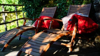 Hetre-sous-le-charme-8211-Saint-Martial-Entraygues_2022285