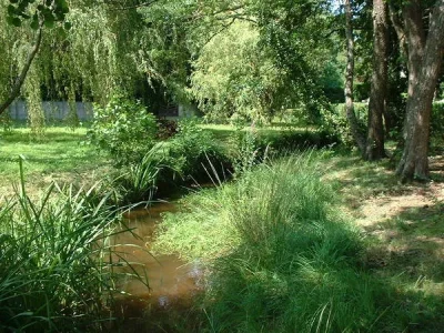 Histoire-d039un-ruisseau-8211-25-08-2026-8211-Andernos-les-Bains_3477538