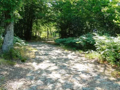Histoire-et-Nature-8211-Saint-Auvent_3670454