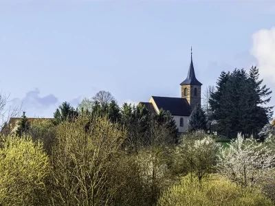 Hohwiller-8211-Soultz-sous-Forets_1402893
