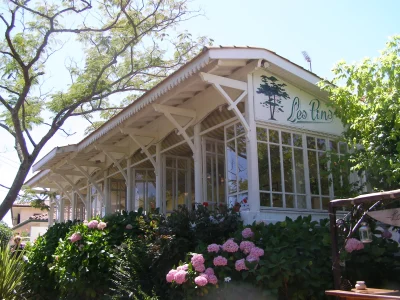 Hotel-des-Pins-8211-Lege-Cap-Ferret_3195349