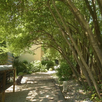 Hotel-l039Amandiere-8211-Saint-Remy-de-Provence_2534459