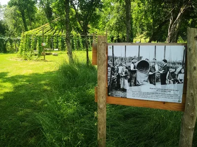 Houblonniere-La-KreuZe-8211-Jardin-atypique-8211-Anzeme_1447015