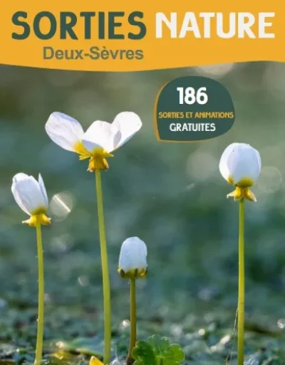 Illustration-naturaliste-8211-11-10-2025-8211-Argentonnay_2165135