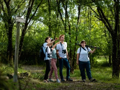 Initiation-a-l039ornithologie-a-Terres-d039Oiseaux-8211-28-06-2025-8211-Braud-et-Saint-Louis_2120811