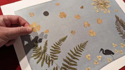 Initiation-au-cyanotype-autour-du-vegetal-8211-Beaugency_2685348