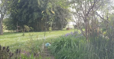 Isidra-au-jardin-de-Termi-a-Laurede-8211-Laurede_2683104