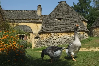 Itineraire-de-mobilite-Sarlat-8211-Chateau-de-Puymartin-8211-Les-Cabanes-du-Breuil-8211-Chateau-de-Commarque-8211-Sarlat-la-Caneda_3867119
