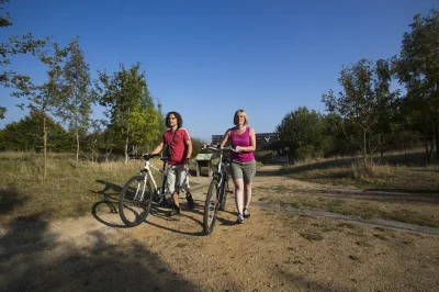 Itineraire-velo-n°3-8211-En-passant-par-la-Reserve-naturelle-de-Cherine-8211-Mezieres-en-Brenne_1693685