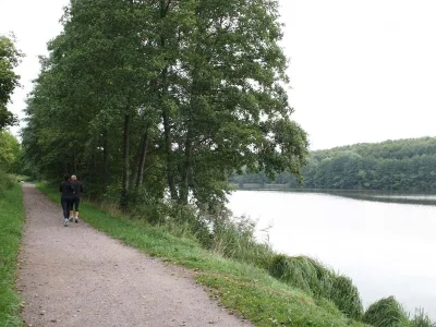 Itinerance-a-velo-autour-des-Stations-Vertes-de-Morsbronn-les-Bains-a-Niederbronn-les-Bains-8211-Morsbronn-les-Bains_2847336