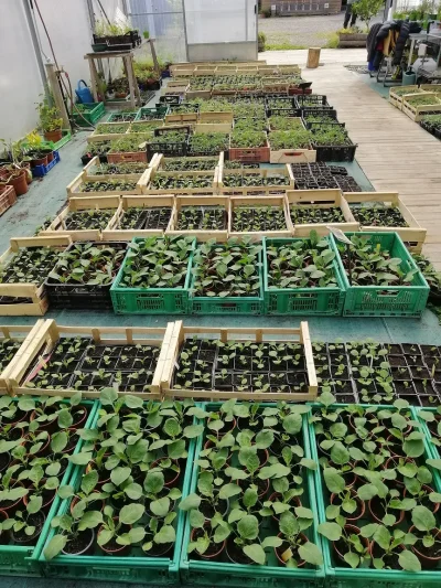J039apprends-a-faire-mes-semis-de-legumes-8211-28-02-2026-8211-Assat_3481055