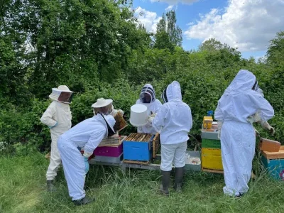 J039apprends-l039apiculture-avec-l039Abeille-Cubzaguaise-8211-30-01-2026-8211-Saint-Andre-de-Cubzac_3348447