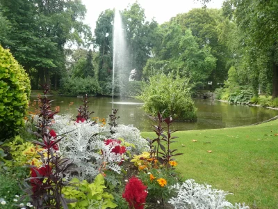 JARDIN-DES-PLANTES_599391