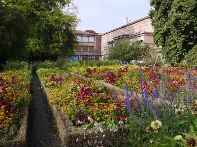 JARDIN-DOMINIQUE-ALEXANDRE-GODRON-8211-Nancy_2245118