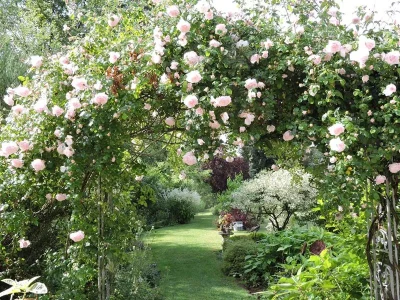 JARDIN-LE-QUENTI-8211-Saint-Remy-la-Calonne_1821865