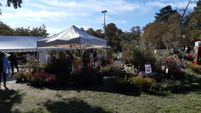 JARDINS-ET-SAVEURS-D-AUTOMNE-8211-11-10-2025-8211-Leognan_2205435