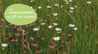 JMZH-A-la-decouverte-des-fleurs-de-la-Vanne-8211-08-04-2026-8211-Saint-Estephe_3485602