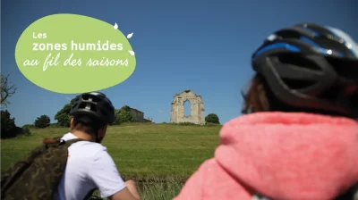 JMZH-decouverte-a-velo-de-l039histoire-et-de-la-biodiversite-8211-06-05-2026-8211-Saint-Germain-d039Esteuil_3486844