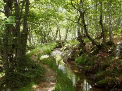 JOURNEES-EUROPEENNE-DU-PATRIMOINE-BEAL-DE-FELGEROLLES-8211-Pont-de-Montvert-8211-Sud-Mont-Lozere_2914154