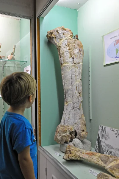 JOURNEES-EUROPEENNES-DU-PATRIMOINE-VISITE-DU-MUSEE-PALEONTOLOGIQUE-8211-20-09-2025-8211-Cruzy_2990006
