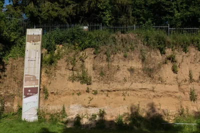 Jardin-Archeologique-de-Saint-Acheul_552728