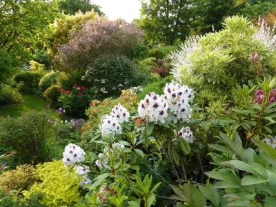Jardin-Bleuenn_556069
