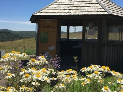 Jardin-Botanique-de-l039Aubrac-8211-Saint-Chely-d039Aubrac_2232814
