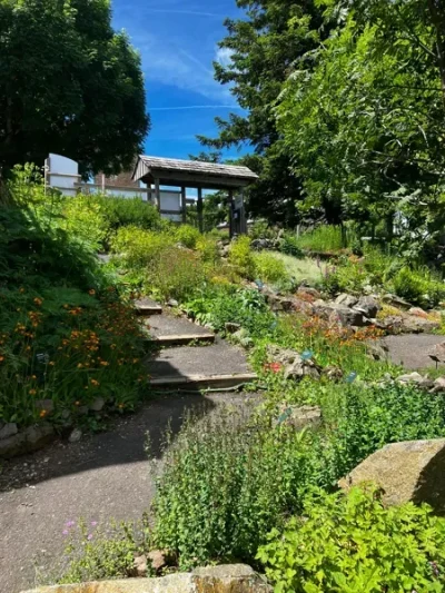 Jardin-Botanique-de-l039Aubrac-groupes-8211-Saint-Chely-d039Aubrac_2266667