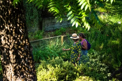 Jardin-Botanique_517705