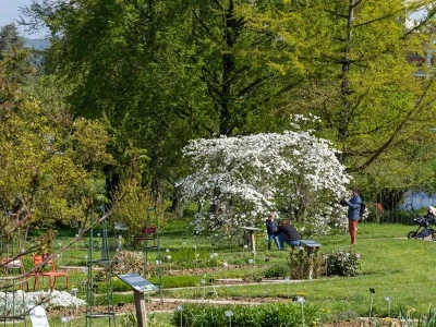 Jardin-botanique-Jean-Marie-Pelt-8211-Villers-les-Nancy_3866993