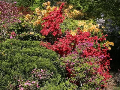 Jardin-botanique-de-gondremer-8211-Autrey_3292106