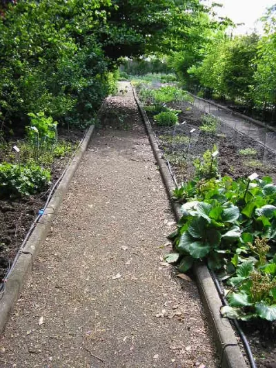 Jardin-botanique-de-la-Charme_339878