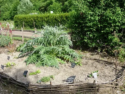 Jardin-d039inspiration-medievale-8211-Vignory_3517628
