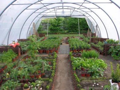 Jardin-de-Marta-8211-Adriers_2917667