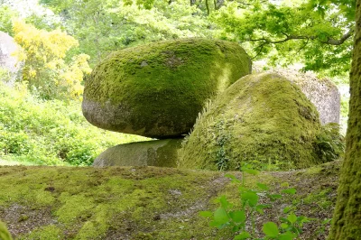 Jardin-des-Chirons-8211-Rocher-Branlant_500549