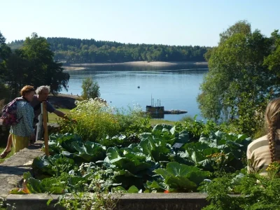 Jardin-des-Simples-8211-Beaumont-du-Lac_2844791