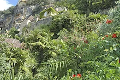Jardin-exotique-de-La-Roque-Gageac-8211-La-Roque-Gageac_2632278