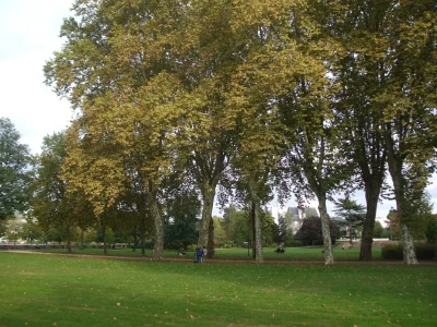 Jardin-public-de-la-Guierle-8211-Brive-la-Gaillarde_2865522