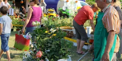 Jardin-sur-Ciron-8211-19-04-2026-8211-Pujols-sur-Ciron_3481595