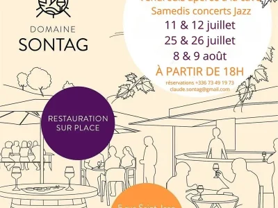 Jazz-dans-les-Vignes-8211-Domaine-Sontag-8211-08-08-2025-8211-Contz-les-Bains_2810333