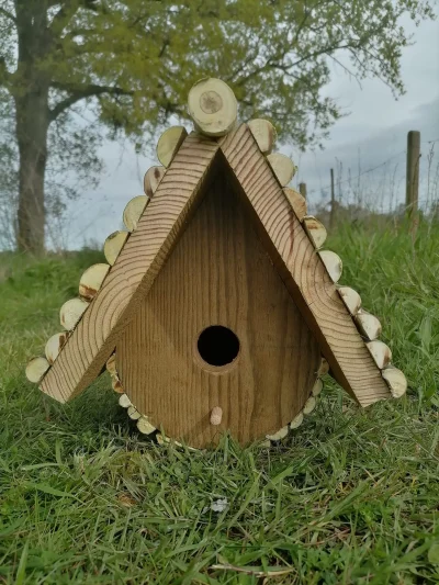 Je-fabrique-ma-propre-cabane-a-oiseaux-8211-18-02-2026-8211-Grenade-sur-l039Adour_3487095