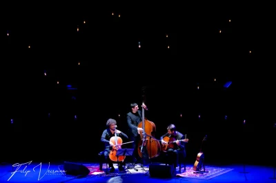 Jeudi039s-Jazz-Loco-Cello-8211-23-10-2025-8211-Arcachon_2671956