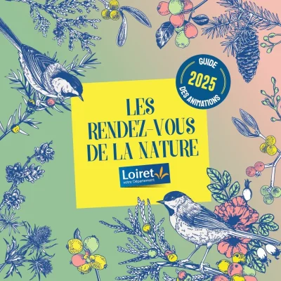 Jeux-d039antan-et-spectacle-sons-et-lumieres-8211-05-07-2025-8211-Vannes-sur-Cosson_2585221
