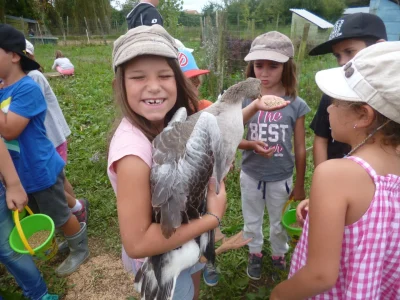 Journee-a-la-ferme-Bibane-8211-29-10-2025-8211-Meracq_3164964