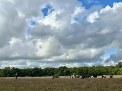 Journee-agriculturelle-8211-27-09-2025-8211-Castetis_2913042